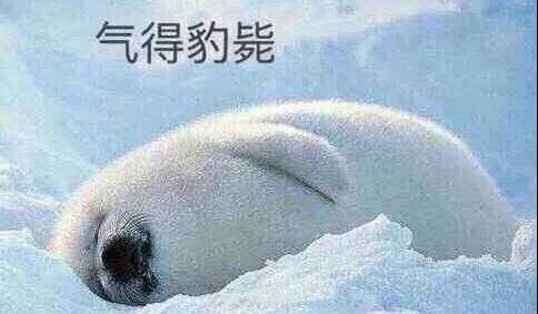 原來你是這樣的潛水員妹子！